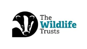 Wildlife Trust Internship