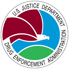 DEA Internship