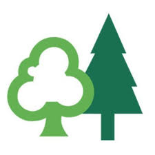 Forestry Commission Internship