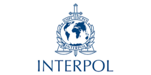 Interpol Internship